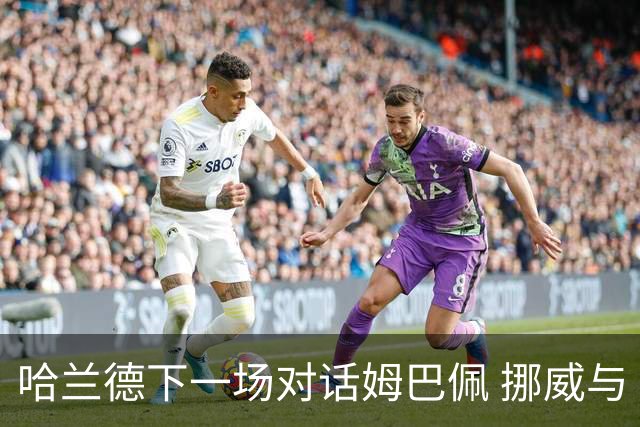 哈兰德下一场对话姆巴佩 挪威与“高卢雄鸡”争小组头名